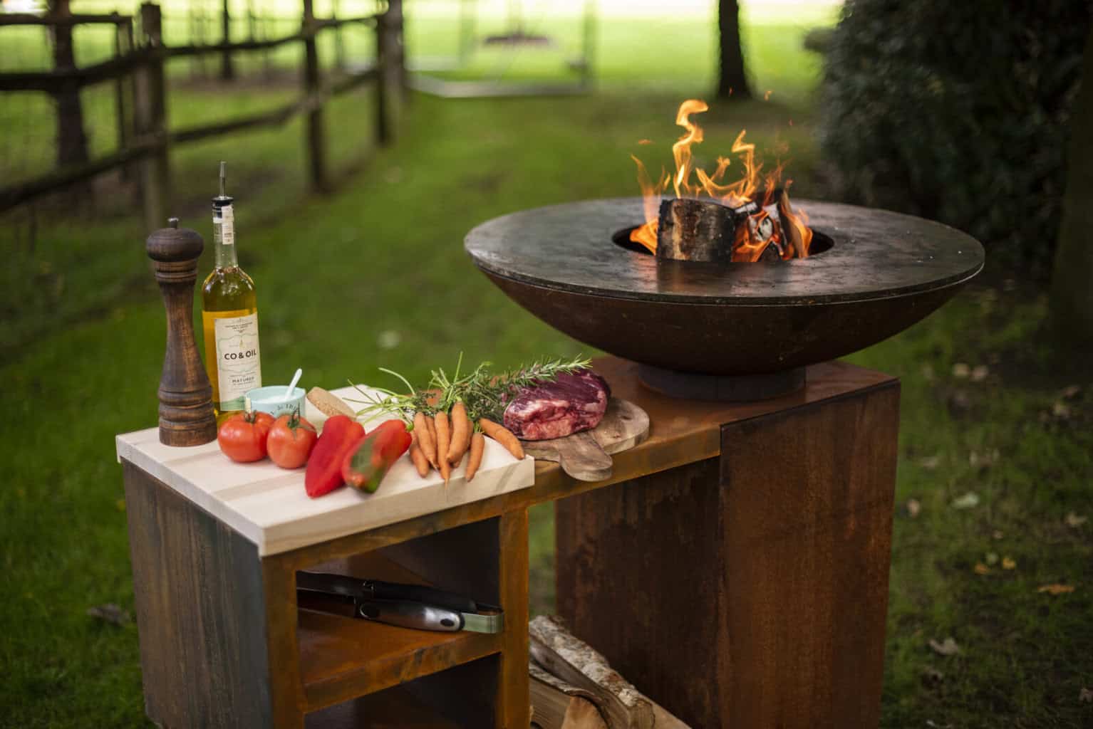 outdoor cooking plancha van outr